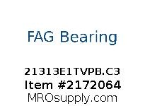 21313E1TVPB.C3