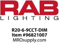 R20-6-9CCT-DIM