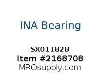 SX011828