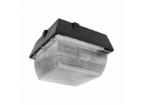 LCM1-22W-CW-BR