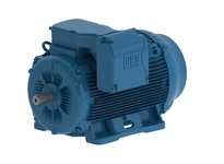 30036ET3Y355M/L-W22