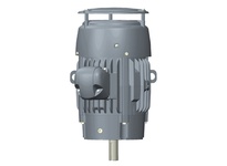 C5P2DCR