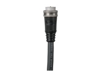 HCMS05403M1