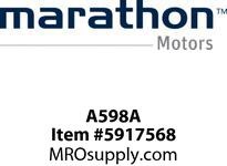 A598A