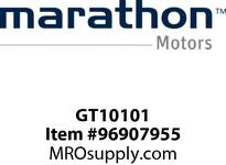 GT10101