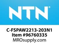 C-FSPAW2213-203N1