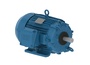 00589EP3PCT215V2F1-W