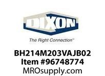 BH214M203VAJB02