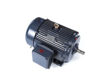GT1061