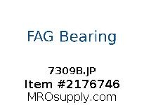 7309B.JP