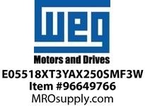 E05518XT3YAX250SMF3W