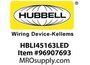 HBLI45163LED