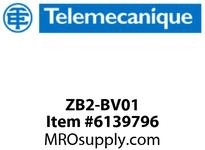 ZB2-BV01