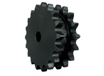 DS100A21