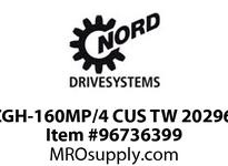 SK8382AZGH-160MP/4 CUS TW 202967541-100