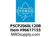 P5CP2060L120B