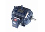 254TTTCD16545
