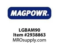 LGBAM90