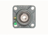 FY-25 SD