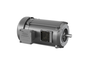 VXM141562T