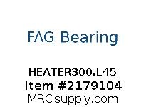 HEATER300.L45