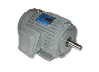 CP1004/8