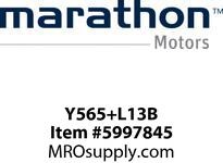 Y565+L13B
