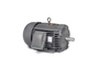 CPX281566T