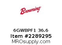 6GWBPF1 36.6