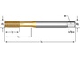 1691AP3/8X24