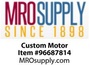 Custom Motor