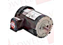 U12T2BCR