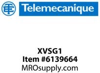 XVSG1