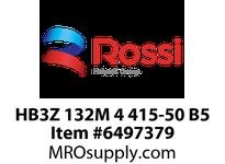 HB3Z 132M 4 415-50 B5