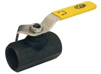 IBV25