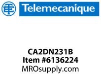 CA2DN231B