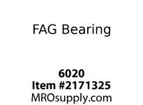 6020