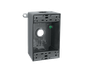 B3