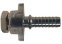 GDF6