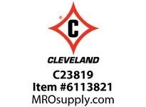 C23819