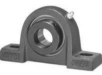 SAP 208 25 G