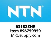 6318ZZNR