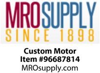 Custom Motor