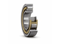 NU 313 ECM/C4