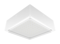 VANLED20YFRW