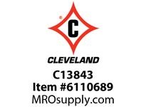 C13843