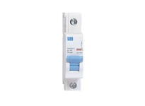 UMBW-1D1-2