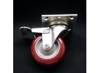 CS6LP