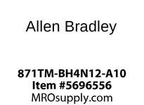 871TM-BH4N12-A10