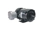.3318XS1B56C